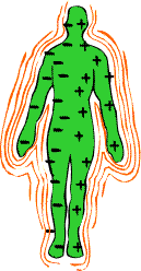 aura-1.gif