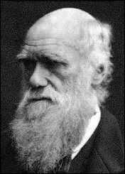 darwin-old-classic.jpg