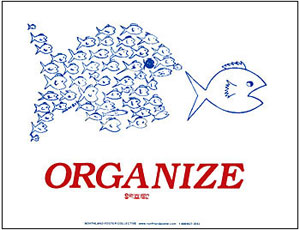 organize-big-fish.jpg