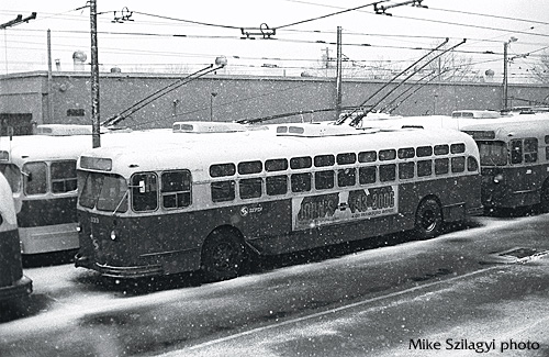 trolley-bus.jpg