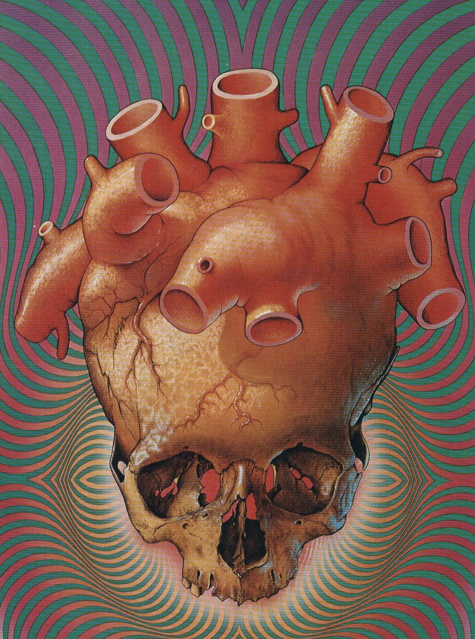 wd-heart-skull.jpg
