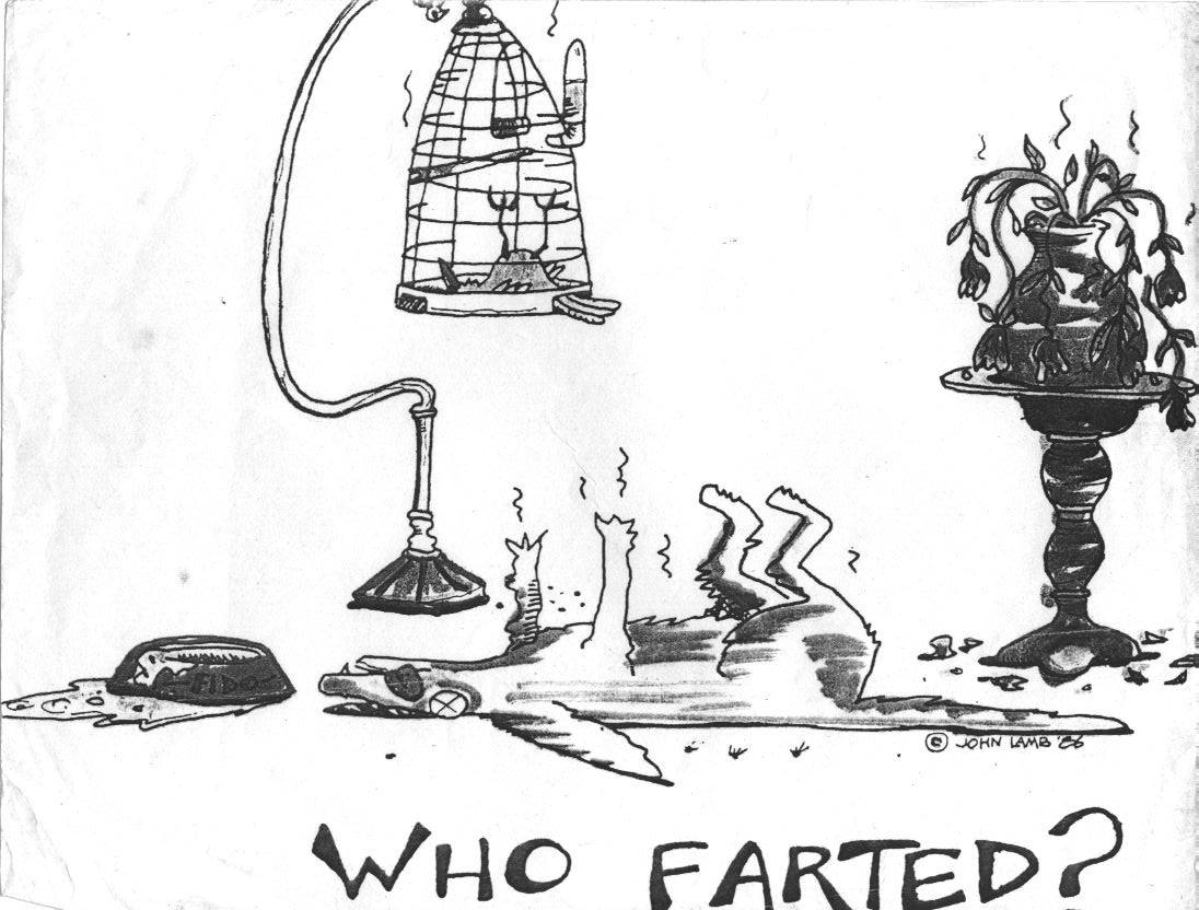 Who Farted